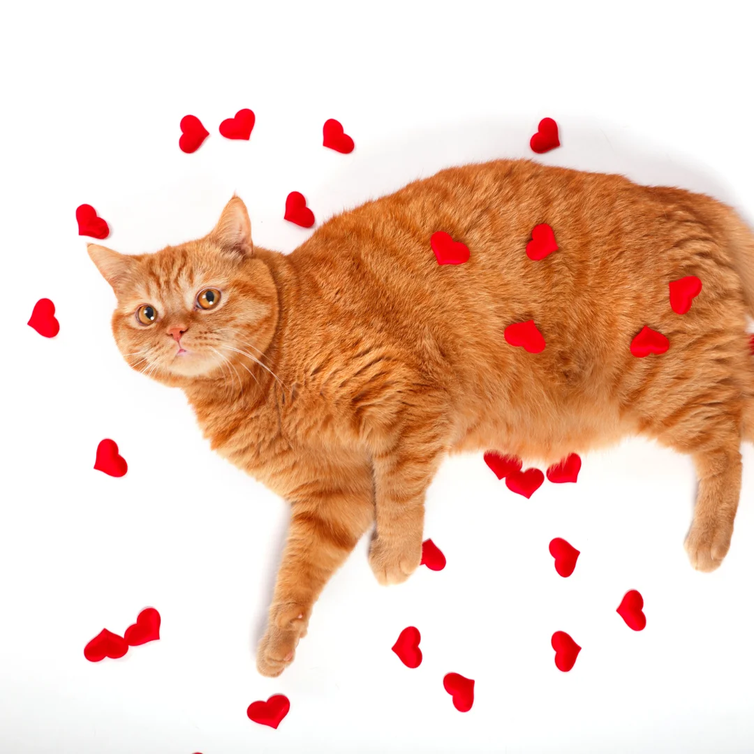 The #1 Way to Show Love