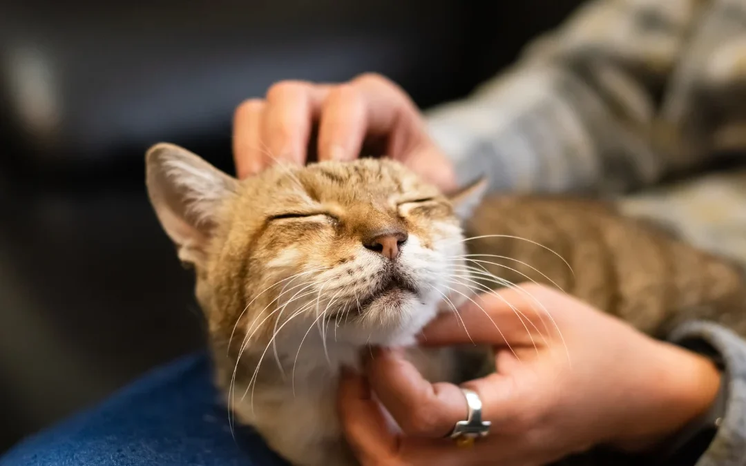 Winter Wellness: Why Hydration and Humidity Matter in February