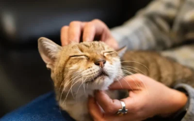 Winter Wellness: Why Hydration and Humidity Matter in February