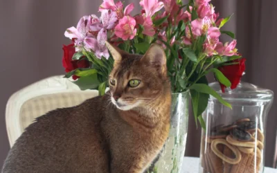 Pretty but Poisonous: The Mother’s Day “Bouquet Alert”