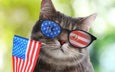 The Memorial Day “Test Run”: Prepping for a Stress-Free Summer