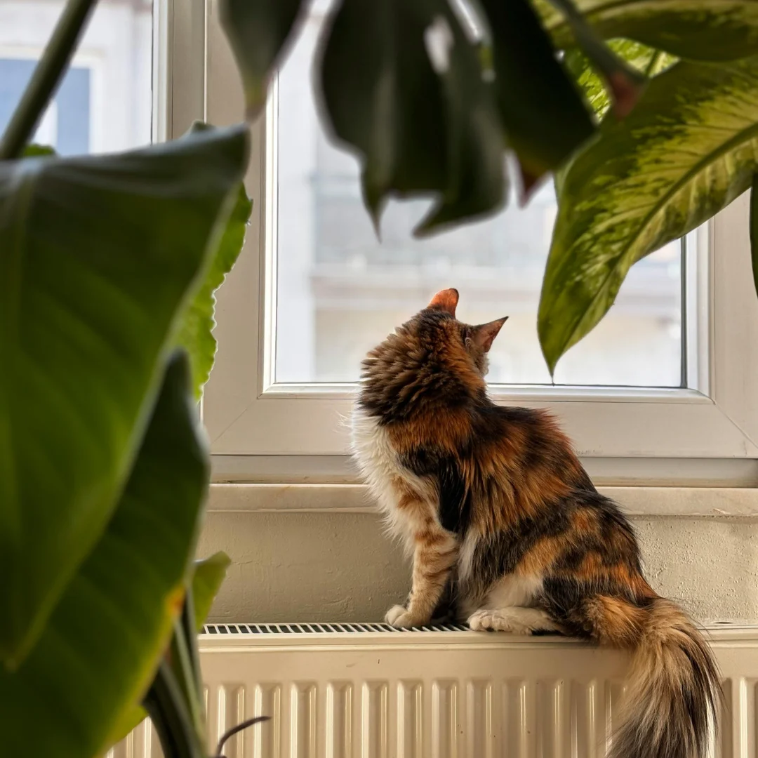 4 Strategies for a Secure Spring View