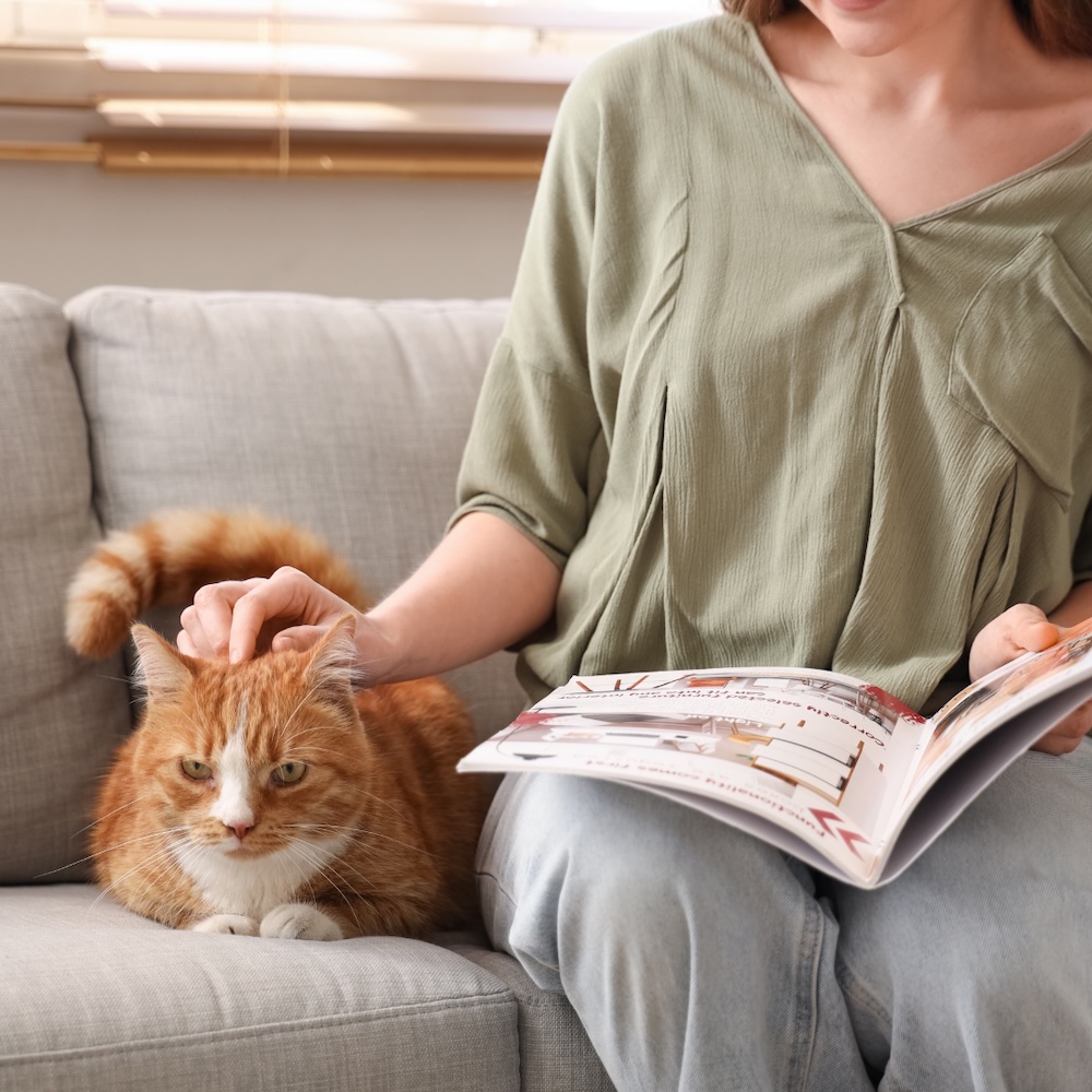 Professional cat sitter