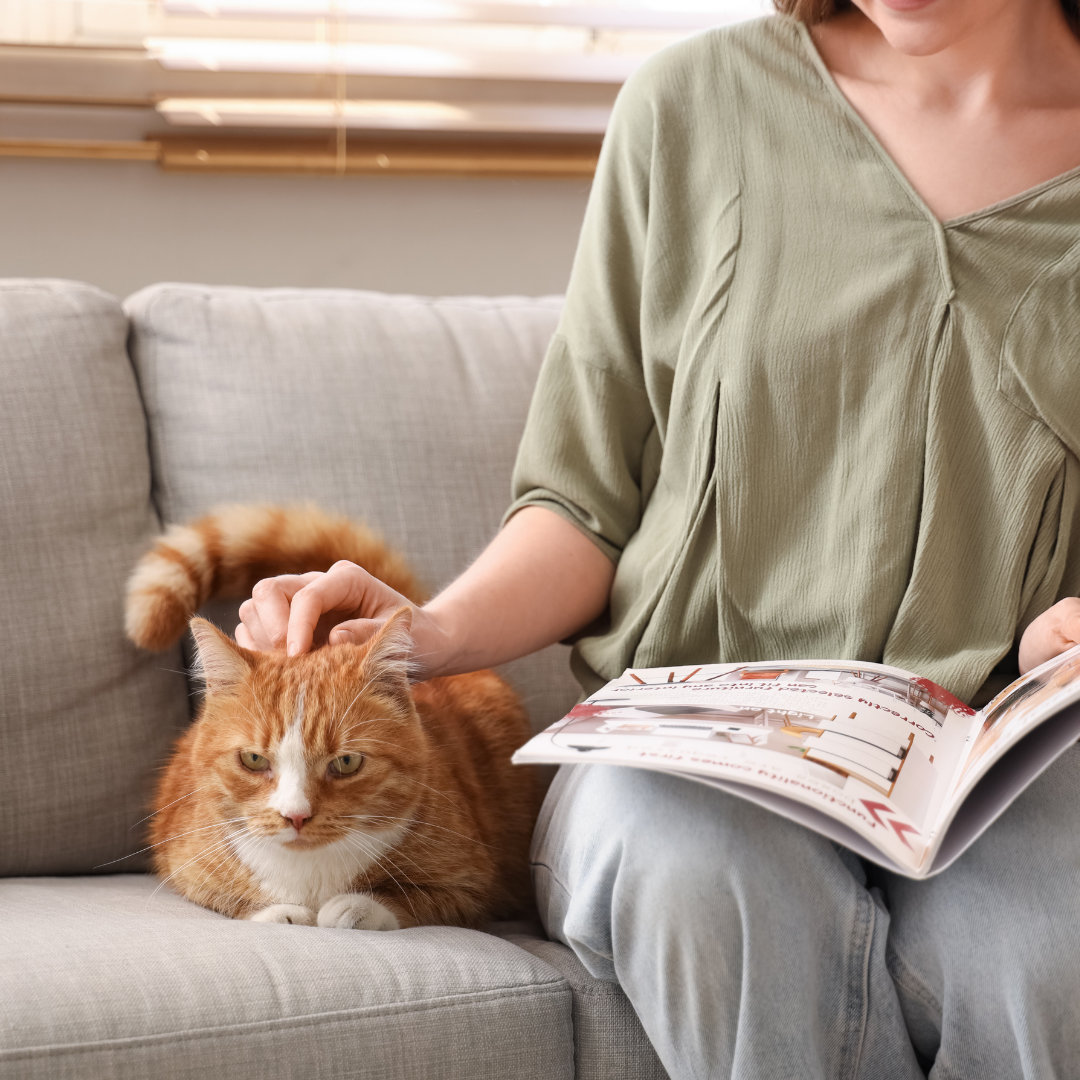 Cat sitting beside owner