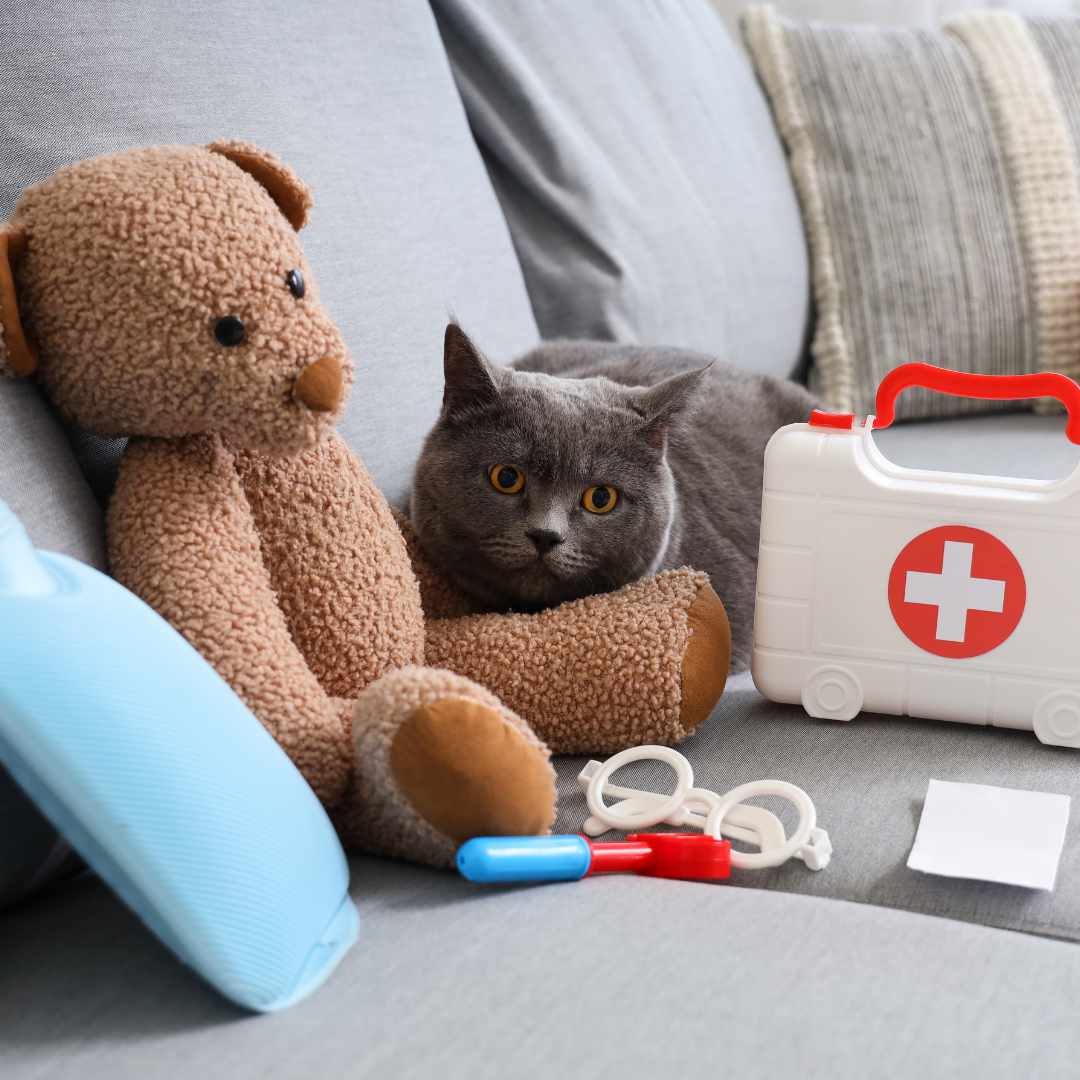 Cat playing doctor
